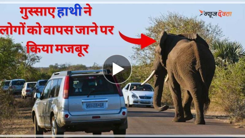 वीडियो शूट कर रहे टूरिस्ट्स पर भड़का विशालकाय हाथी, भागने पर हुए मजबूर- देखें वीडियो